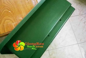 Chau-nhua-thong-minh-co-lon-co-thoat-nuoc-thanh-chau