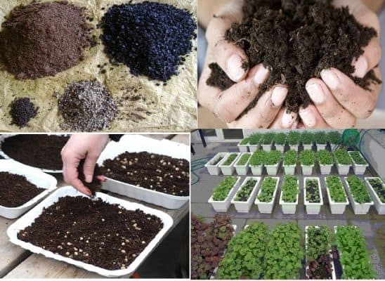 Hãy chuẩn bị khay nhựa hoặc thùng xốp và đất để trồng rau